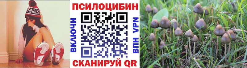 Галлюциногенные грибы GOLDEN TEACHER  Симферополь 